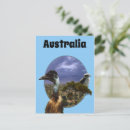 Recherche de oiseau australien cartes postales Faune