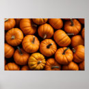 Search for kids halloween Pumpkins