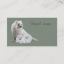 Recherche de pom cartes visite Chiot