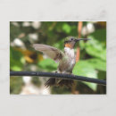 Recherche de beautiful cartes postales Photography