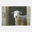 Search for sheep tea towels Country