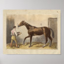 Search for farrier posters Horse