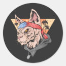 Search for fourth of july cat stickers Usa