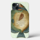 Recherche de ailerons coques Poissons