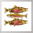 Recherche de saumon art Alaska