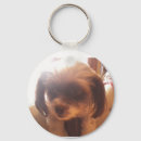 Search for fluffy dog keychains Puppy