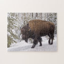Search for bison puzzles Buffalo