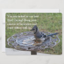 Search for birdwatching invitations Nature
