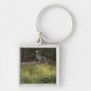Search for blue grass keychains Nature