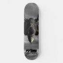 Search for airplane skateboards Jet