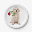 Search for golden retriever with cake Party