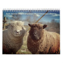 Recherche de ruminants Animaux