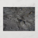 Recherche de boue cartes postales Piscine