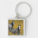 Search for horse keychains Flowers