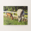 Recherche de cheval puzzles Poulain
