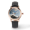 Search for lighthouse watches Rocky coast