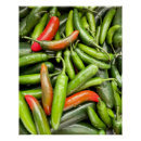 Recherche de poivrons posters Vert