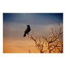 Search for bare tree art Sky