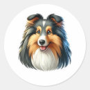 Search for shetland sheepdog stickers Cute