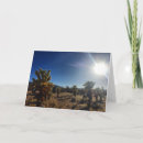 Recherche de cholla Cactus