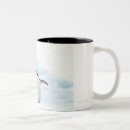Search for adelie penguin mugs Animal