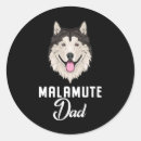 Recherche de alaskan malamute autocollants Coquin