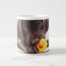 Recherche de chocolate labrador tasses Chiot