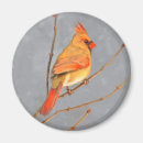 Search for cardinal bird magnets Winter