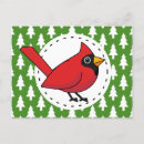 Search for white pine postcards Bird
