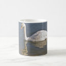 Recherche de beau cygne tasses Blanc