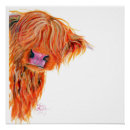 Recherche de vache écossaise posters Highland