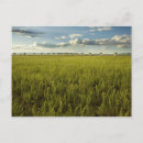 Search for very large array New mexico