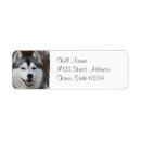 Search for husky return address labels Puppy