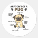 Recherche de mop autocollants Chien