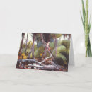 Search for florida holiday cards Virginia5050