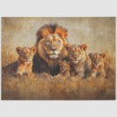 Search for lioness photography Lions