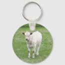 Search for calfs keychains Calves
