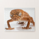 Search for lizard puzzles Chameleon