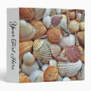 Search for sea shells binders Shore
