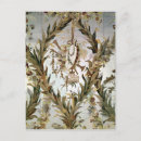 Search for mural postcards Floral