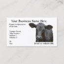 Recherche de angus noir cartes visite Vache