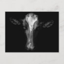 Recherche de tête de vache posters Holstein