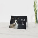 Search for whiskers cards Black