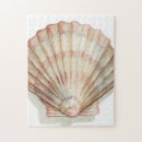 Search for seashell puzzles Shells