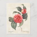 Recherche de japonica posters Botanique