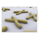 Recherche de chromosome cartes postales Centromère
