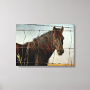 Search for abstract horse paintings canvas prints Equine