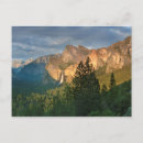 Search for fall valley cards Forest