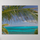Search for cay posters Island