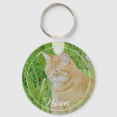 Recherche de chat gingembre porteclés Tabby